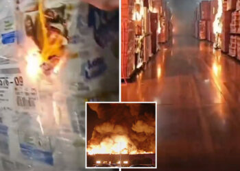 Video of Ontario fire warehouse shows alleged disgruntled employee start fire